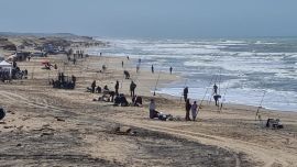 Interesantes alternativas de cara a un fin de semana muy cargado de actividad y con variedad de especies.