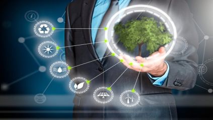 Sostenibilidad ambiental