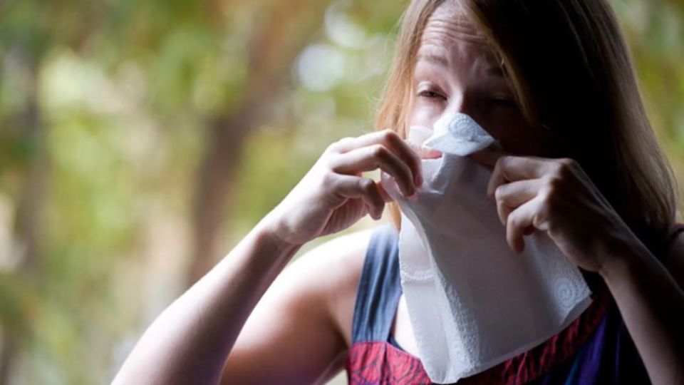 La alergia estacional es una enfermedad crónica