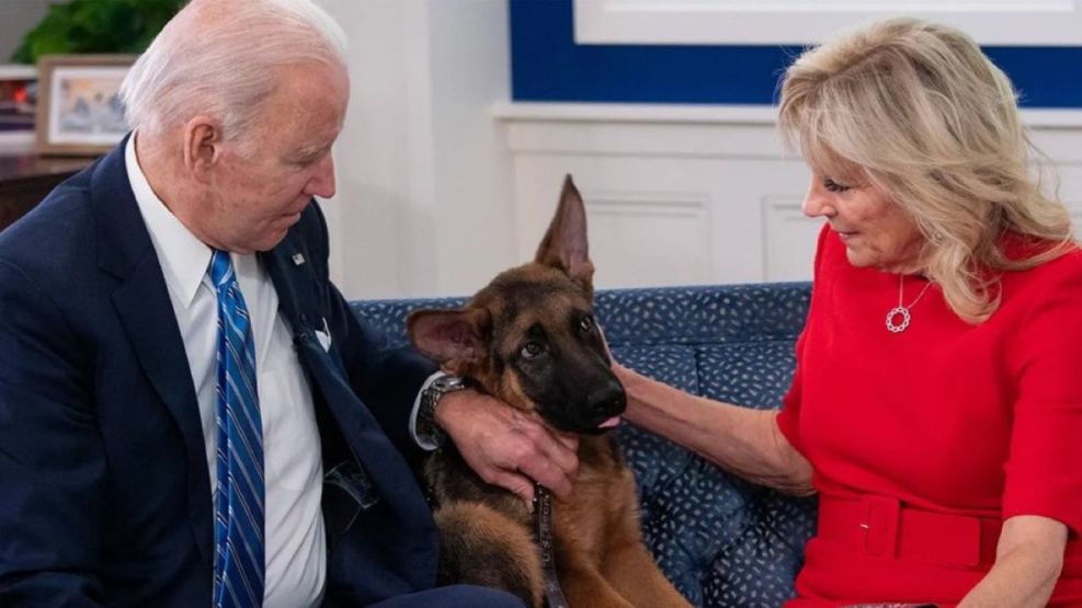 Commander perro de Joe Biden 20230927