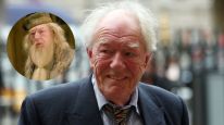 Michael Gambon