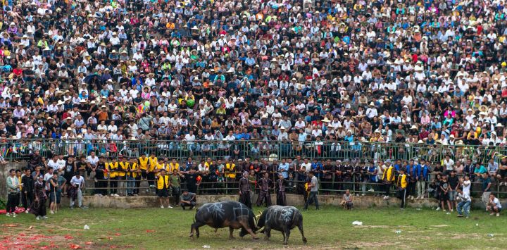 Esta foto muestra a los espectadores que asisten a una corrida de toros en el condado de Congjiang, en la provincia de Guizhou, al suroeste de China.