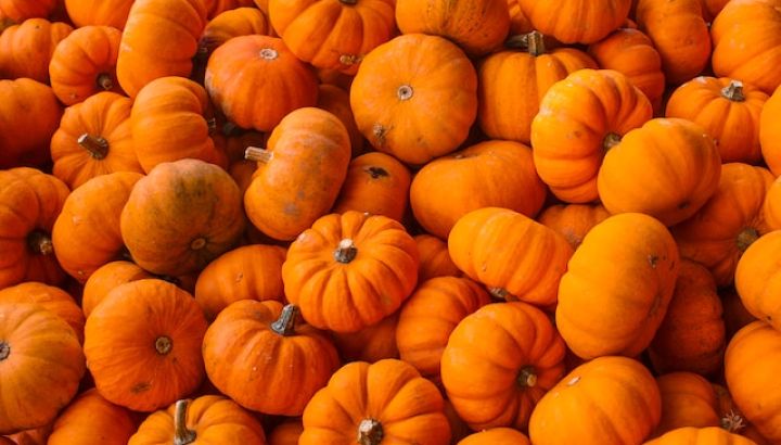Temporada de calabazas: los beneficios que tiene para la salud y la belleza