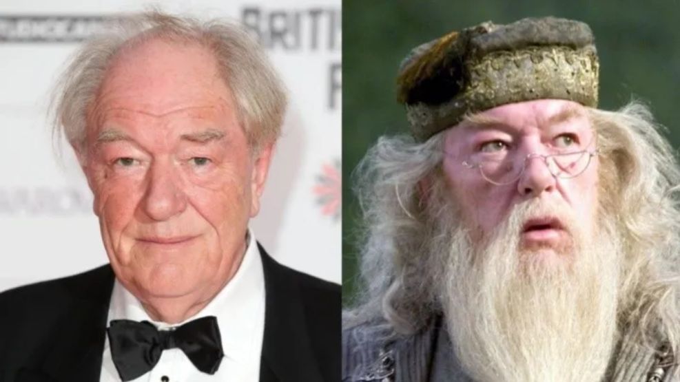 Murió el actor irlandés Michael Gambon, "Dumbledore" en Harry Potter |  Perfil
