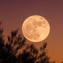 En el caso la Luna de Cosecha, se la verá con un cálido color naranja o ámbar