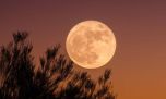 Luna de la Cosecha 2023: ¿qué día y a qué hora puede disfutarse desde la Argentina?