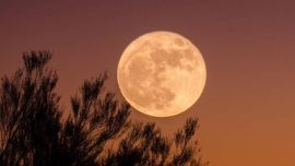 En el caso la Luna de Cosecha, se la verá con un cálido color naranja o ámbar