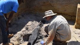 Es la construcción de madera más antigua del mundo encontrada hasta el presenbte.