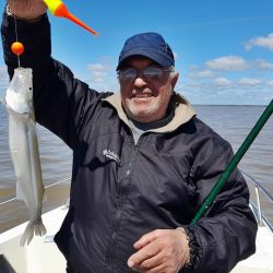 Pasto y correntada afectó la costa bonaerense, aunque se pudo pescar y lograr interesantes capturas. 