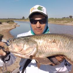 Es importante cuidar a la especie, devolverlas a su hábitat y permitir que se siga recuperando en toda la provincia de Buenos Aires. 