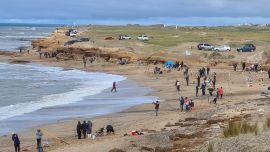 Predominaron las brótolas en este domingo en Miramar, mezclándose con un aislado chucho y el solitario pez elefante.