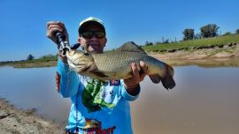 Es importante cuidar a la especie, devolverlas a su hábitat y permitir que se siga recuperando en toda la provincia de Buenos Aires.