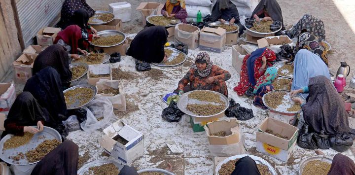 Trabajadoras limpian y clasifican pasas en un mercado de Herat. Foto de Mohsen KARIMI / AFP