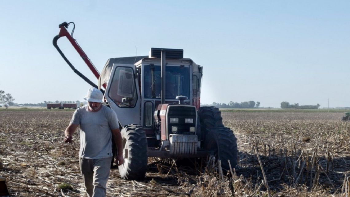 Efecto sequía: Santa Fe tuvo la peor producción de soja en 20 años ...