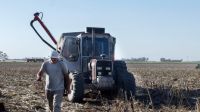 Efecto sequía: Santa Fe tuvo la peor producción de soja en 20 años