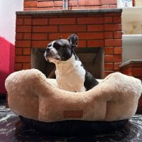COMFYPETYS, Dormir como en las nubes para tu mascota