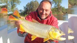 Con respecto al último informe de hace un mes, la novedad pasa por la mejor calidad en la captura de dorados.