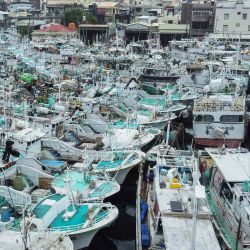 Los barcos pesqueros están amarrados en el puerto pesquero de Tunggang antes de la llegada del tifón Koinu al condado de Pingtung. Foto de Johnson LIU / AFP | Foto:AFP