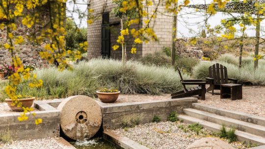 Un recorrido por Mendoza y sus opciones de turismo vinculadas al aceite de oliva