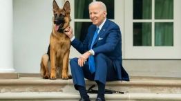 El perro de Biden, expulsado de la Casa Blanca: el motivo