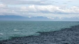 El cambio de tonalidad en los océanos es evidente.