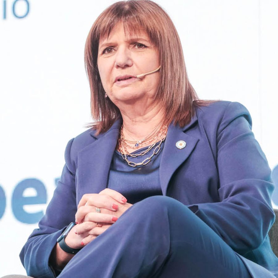 Bullrich prometió reformar el Banco Central y "prohibir los cepos para  siempre" | Perfil