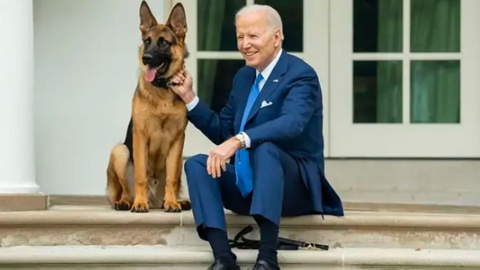 El perro de Biden, expulsado de la Casa Blanca: el motivo