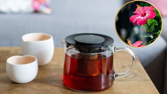 Flor de hibiscus: descubrí los beneficios de incorporar este alimento milenario a tu dieta