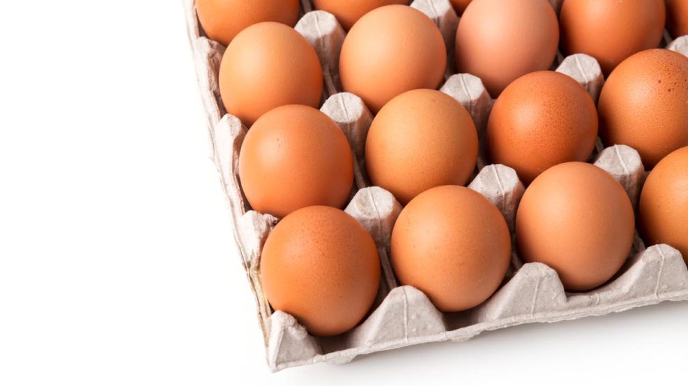 Huevos de gallina