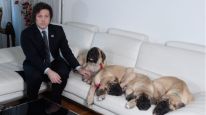 Javier Milei junto a sus perros
