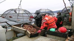 Pesca ilegal en el mar Argentino 20231010