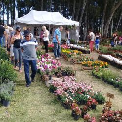 . Este fin de semana largo la Expo Vivero Cazón, se llevará todas las miradas durante tres días donde las flores y los colores serán protagonistas.