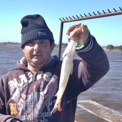 Pocos kilómetros al sur de Buenos Aires, las costas y muelles platenses son una gran alternativa para el pescador.