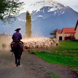 Estancia Nibepo Aike  | Foto:CEDOC