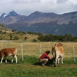 Estancia Nibepo Aike  | Foto:CEDOC