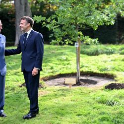 El rey británico Carlos III y el presidente francés Emmanuel Macron participan en una ceremonia de plantación de robles para conmemorar la visita en el jardín de la residencia del embajador británico en París, el primer día de una visita de estado a Francia. | Foto:Samir Hussein / PISCINA / AFP