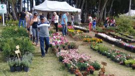 . Este fin de semana largo la Expo Vivero Cazón, se llevará todas las miradas durante tres días donde las flores y los colores serán protagonistas.