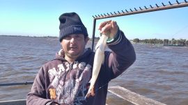 Pocos kilómetros al sur de Buenos Aires, las costas y muelles platenses son una gran alternativa para el pescador.