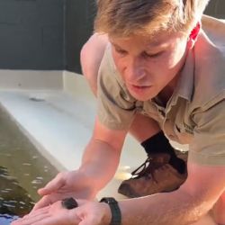 Robert se mostró feliz y orgulloso con el nacimiento de la primera tortuga en cautiverio.