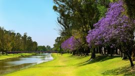 Pergamino, a 230 km de CABA, está unida a Pilar con la RN 8, vinculándola con otras provincias del centro argentino.