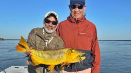 Las moscas más rendidoras fueron las oscuras, en combinaciones de negro y rojo, violeta con negro y negro sólo.
