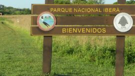 1810_parque iberá