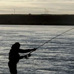 La validez del permiso de pesca deportiva corresponde solo para la Provincia de Santa Cruz y se obtiene desde la página de la Secretaría de Pesca y Acuicultura de la Provincia.