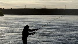 La validez del permiso de pesca deportiva corresponde solo para la Provincia de Santa Cruz y se obtiene desde la página de la Secretaría de Pesca y Acuicultura de la Provincia.