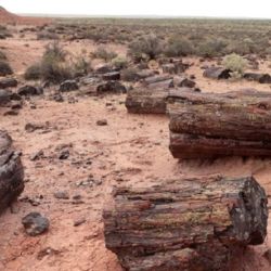 La zona contiene afloramientos formados durante el período cretácico de la era mesozoica 