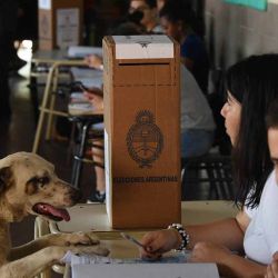 Elecciones Presidenciales 22-10-2023. Tucuman. Las elecciones generales se iniciaron hoy en todo el país, en comicios en los cuales están habilitados unos 35 millones de argentinos para elegir un nuevo Gobierno en una compulsa con cinco candidatos presidenciales, y la expectativa está puesta en si será necesario o no el balotaje para definir al próximo jefe de Estado. | Foto:Telam