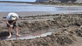 Las huellas fueron halladas en la costa rionegrina.