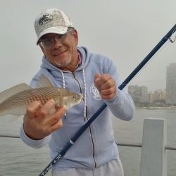 Aunque aún no llegó el verano, ya la pesca se puso muy buena en la ciudad de Mar del Plata. 