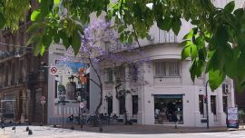 Los bares notables porteños tienen su jornada especial este jueves 16 de octubre.