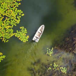 Vista aérea que muestra un barco en un lago en el bosque de Puerto Arturo, un sector en el corazón de la Reserva de la Biosfera Maya, en el Departamento de Petén, Guatemala. | Foto:ALBERTO PEÑA/AFP